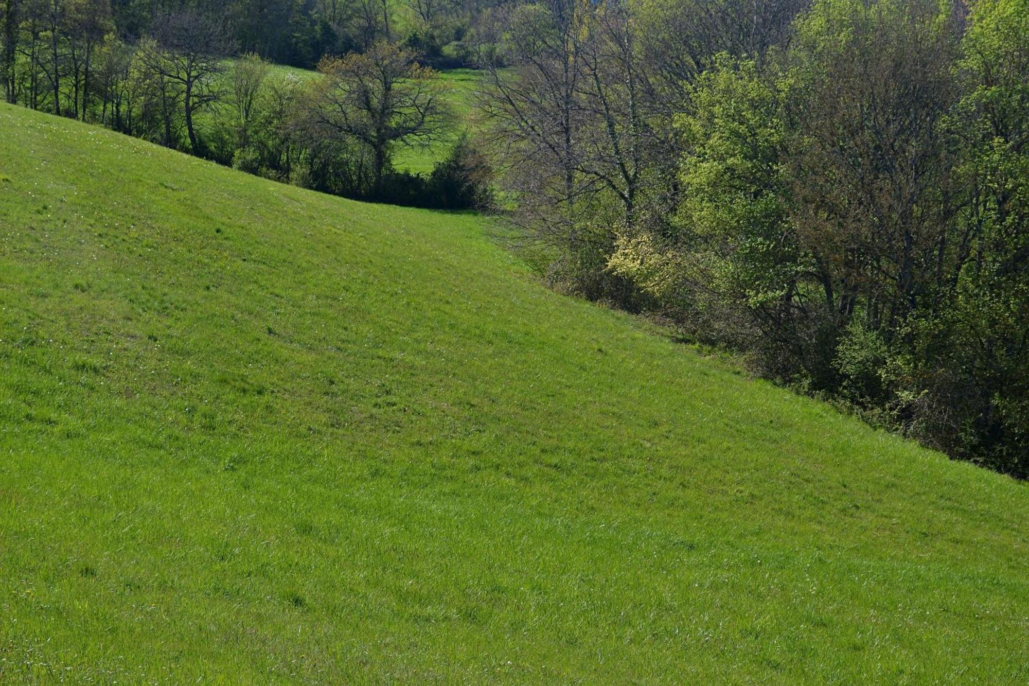 Chambre D'Hote Au Domaine Terre De Chenes Saint-Paul-de-Baise Exterior foto